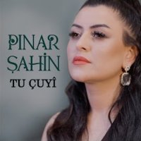 Tu Çuyi