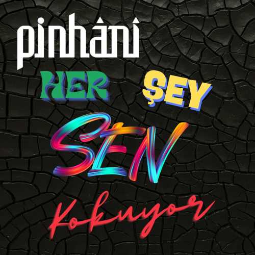Her Şey Sen Kokuyor