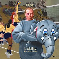 Liabillity