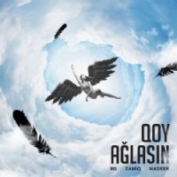 Qoy Ağlasın