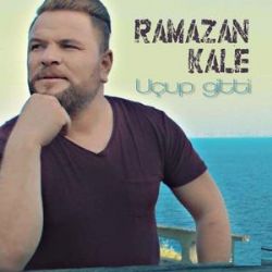 Uçup Gitti