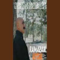 Senin Eserin