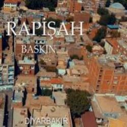 Baskın