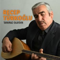 Tanımaz Olaydım