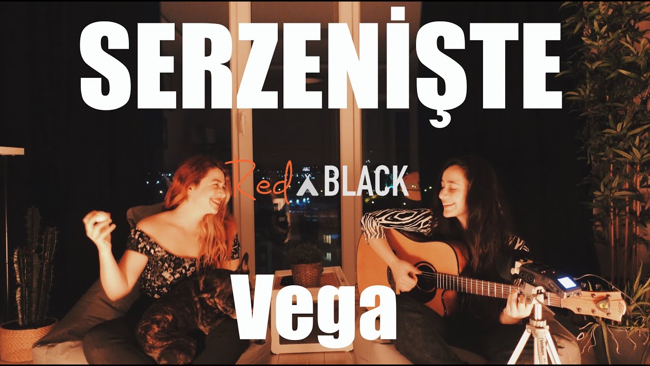 Serzenişte