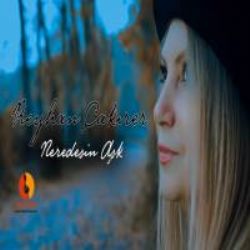 Neredesin Aşk