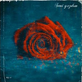 Seni Yazdım