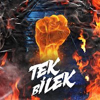 Tek Bilek