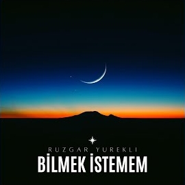 Bilmek İstemem
