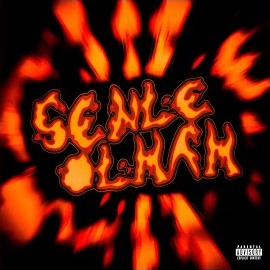 Senle Olmam