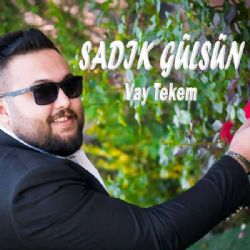 Vay Tekem