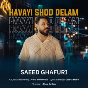 Havayi Shod Delam