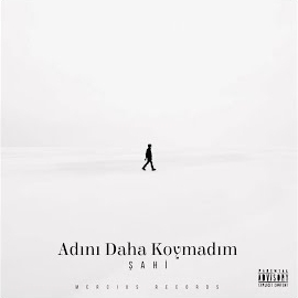 Adını Daha Koymadım