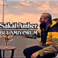 Bulamıyorum