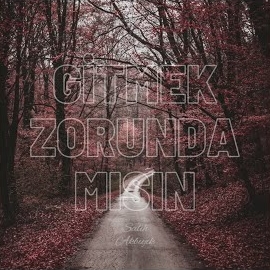 Gitmek Zorunda Mısın