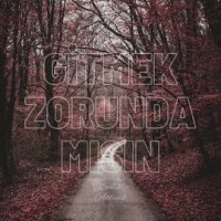 Gitmek Zorunda Mısın