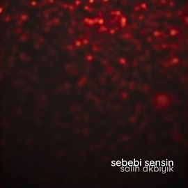 Sebebi Sensin