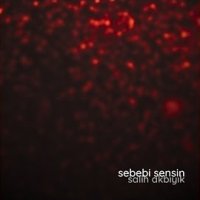 Sebebi Sensin