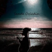 Sende Özledin