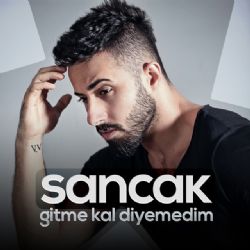 Gitme Kal Diyemedim