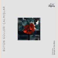 Bütün Gülleri Çalmışlar (Live)
