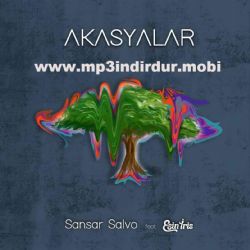 Akasyalar