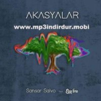 Akasyalar