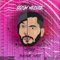 Sözüm Meclise