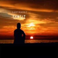 Sensiz