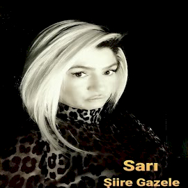 Şiire Gazele