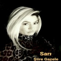 Şiire Gazele