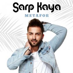 Metafor