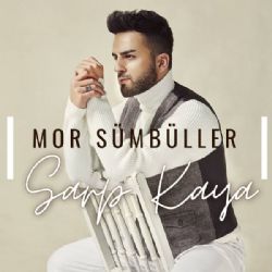 Mor Sümbüller