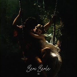 Seni Senle