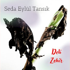 Deli Zehir