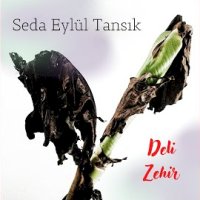 Deli Zehir