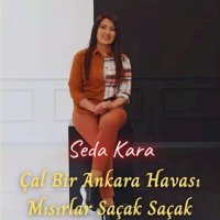 Çal Bir Ankara Havası, Mısırlar Saçak Saçak