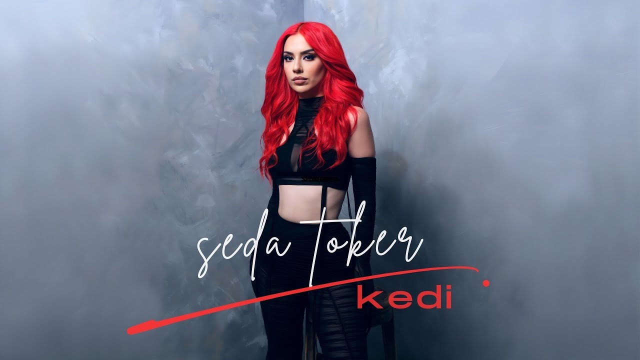 Kedi