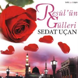 Resulün Gülleri