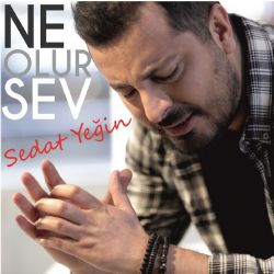 Ne Olur Sev