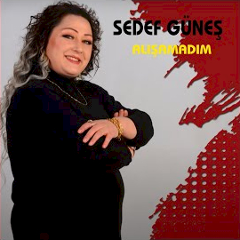 Alışamadım