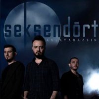 Anlayamazsın