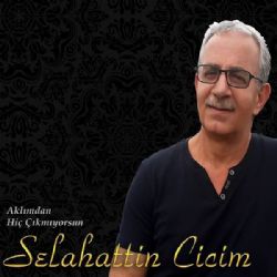 Aklımdan Hiç Çıkmıyorsun