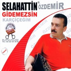 Gidemezsin Kar Çiçeğim
