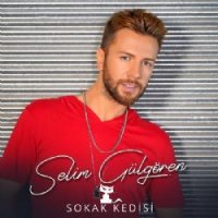 Sokak Kedisi