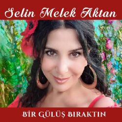 Bir Gülüş Bıraktın