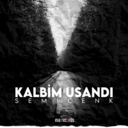 Kalbim Usandı