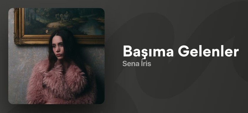 Başıma Gelenler