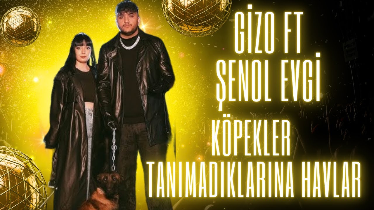Köpekler Tanımadıklarına havlar