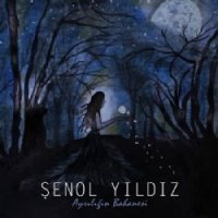 Ayrılığın Bahanesi